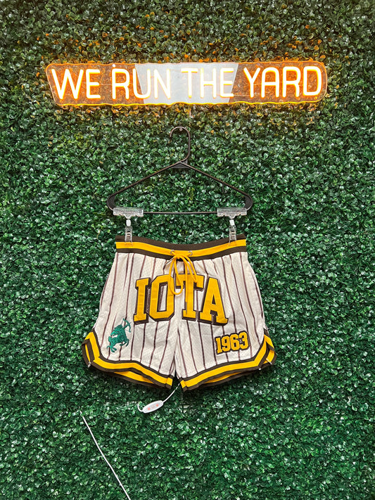 Iota Phi Theta Pin Striped Mesh Shorts