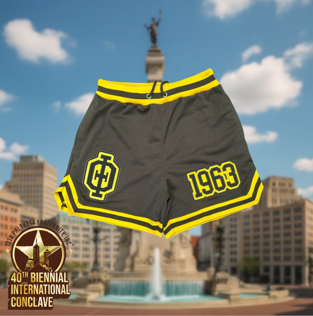 Iota Phi Theta Embroidered Basketball Shorts