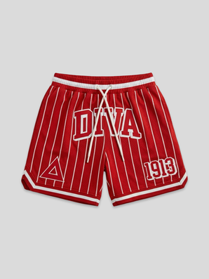 Diva 1913 Pin Striped Embroidered Mesh Shorts