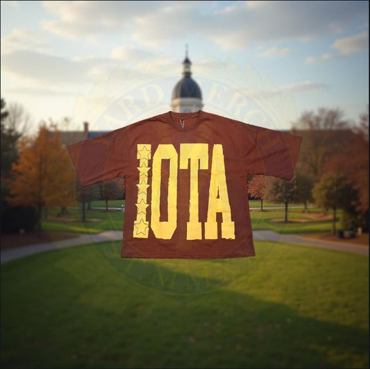 Iota Phi Theta IOTA/1963 Oversized Print Drop Shoulder Streetwear Shirt