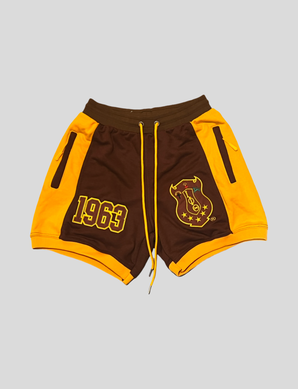 Iota Phi Theta Brown French Terry Knit Summer Shorts
