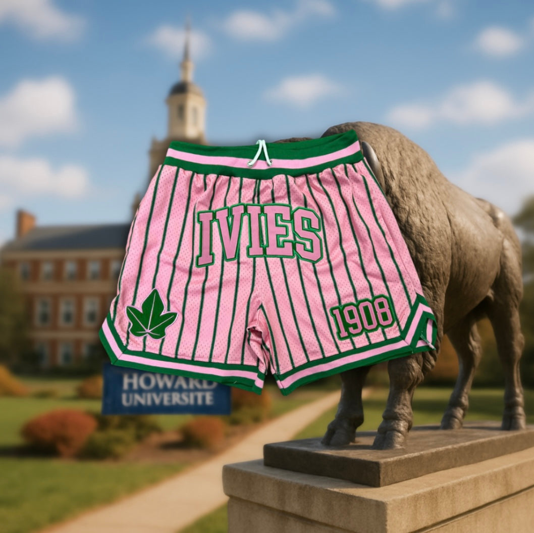 Alpha Kappa Alpha Ivies Pin Striped Embroidered Mesh Shorts