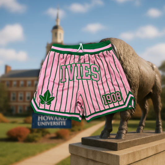 Alpha Kappa Alpha Ivies Pin Striped Embroidered Mesh Shorts
