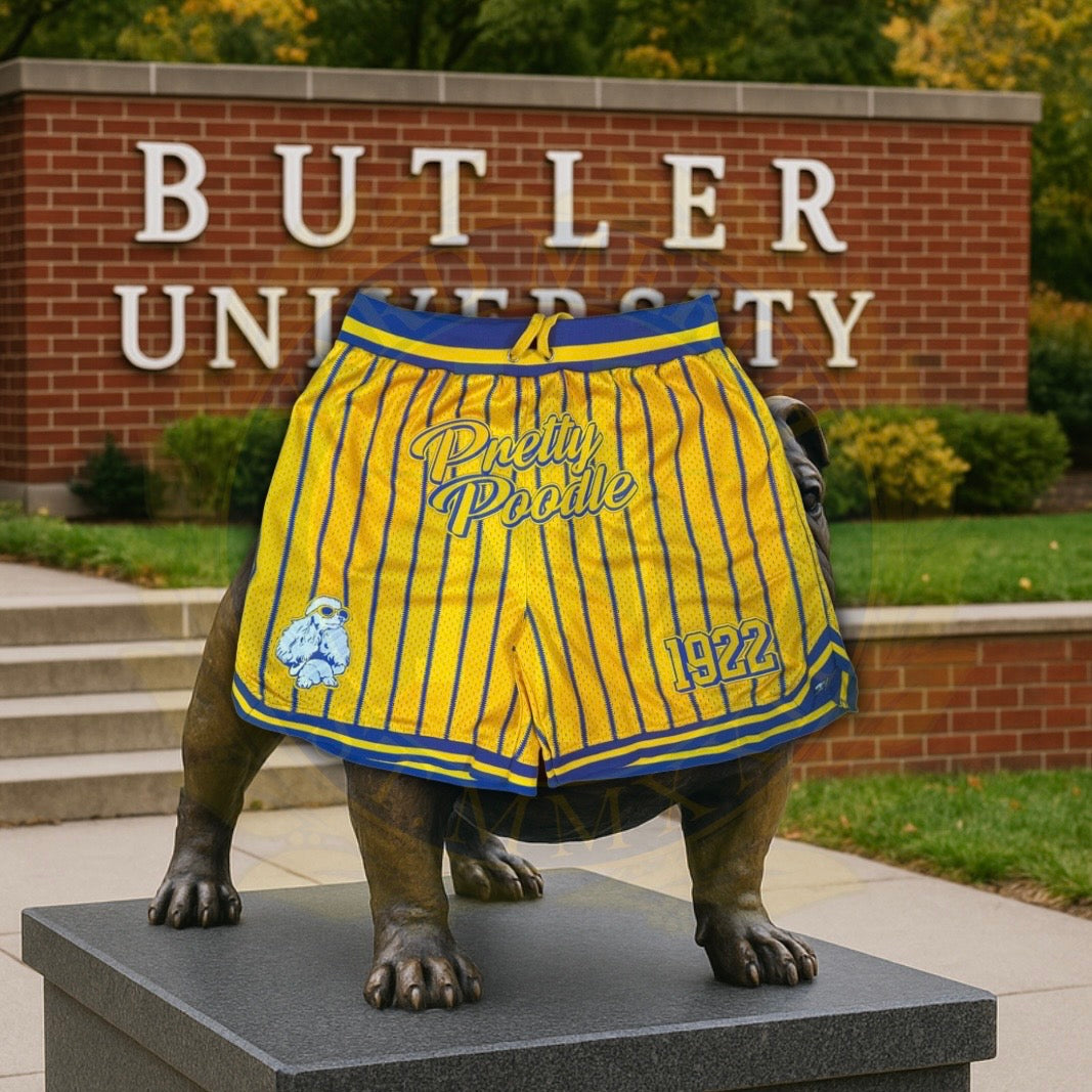 Sigma Gamma Rho Pretty Poodle Pin Striped Mesh Shorts