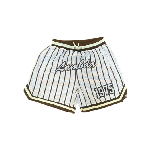 Lambda Theta Phi Pin Stripped Mesh Shorts