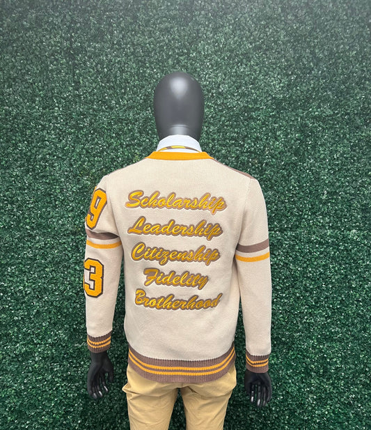 Iota Phi Theta Classic College Cardigan