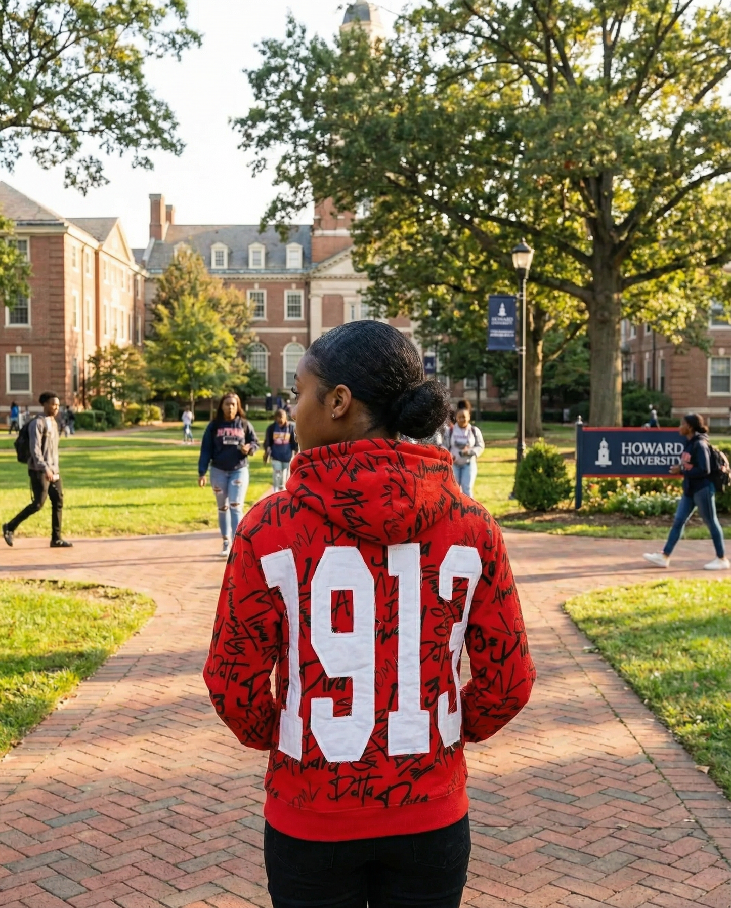 Delta Sigma Theta All Over Print Hoodie Red