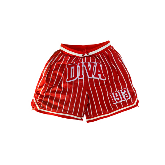 Diva 1913 Pin Striped Embroidered Mesh Shorts