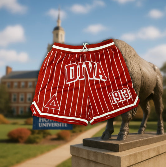 Diva 1913 Pin Striped Embroidered Mesh Shorts