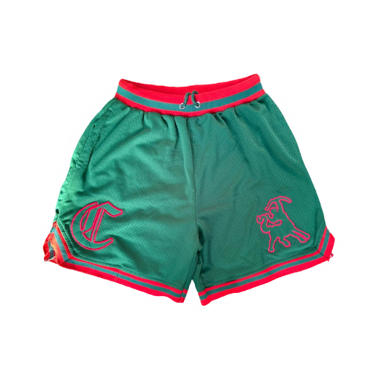 Iota Phi Theta Centaur Embroidered Mesh Shorts