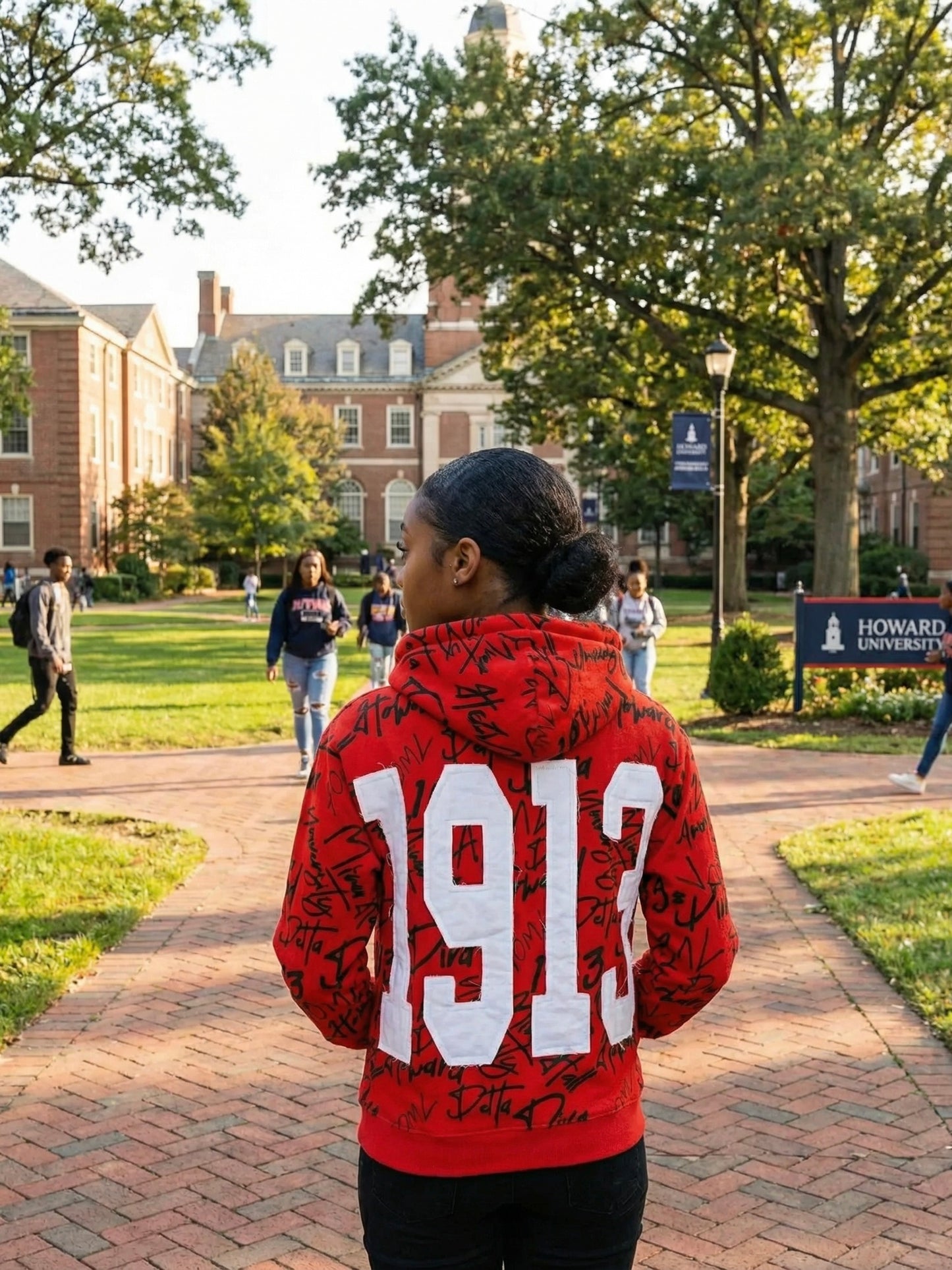 Delta Sigma Theta All Over Print Hoodie Red