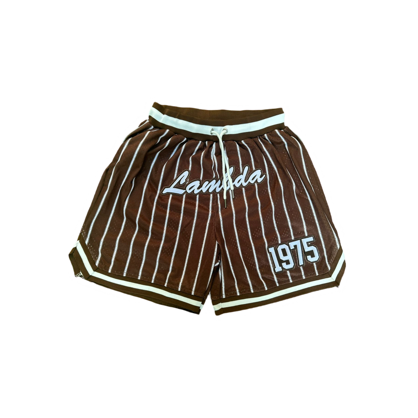 Lambda Theta Phi Pin Stripped Mesh Shorts