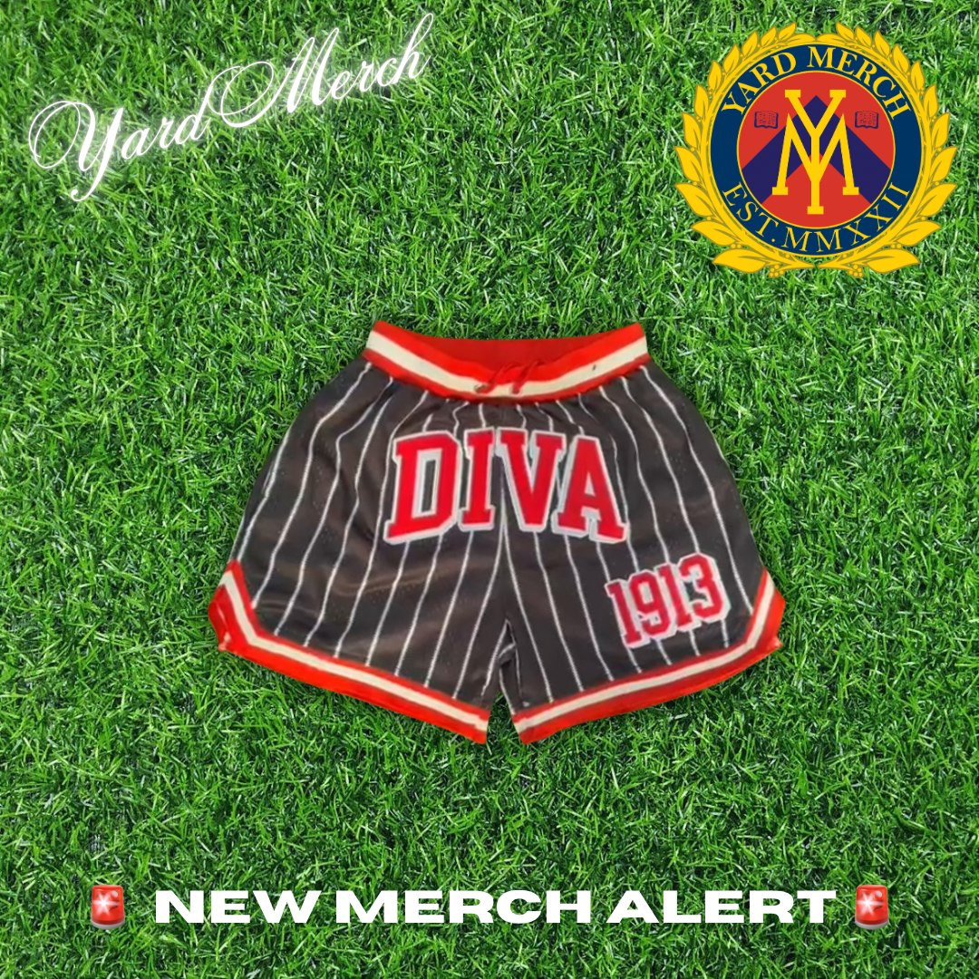 Diva 1913 Pin Striped Embroidered Mesh Shorts