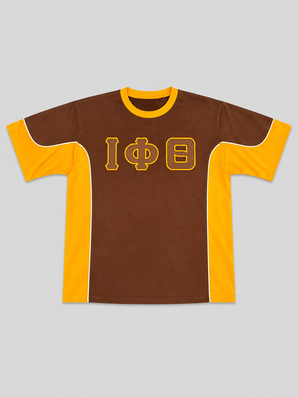 Iota Phi Theta Embroidered Crewneck Tee (Brown)