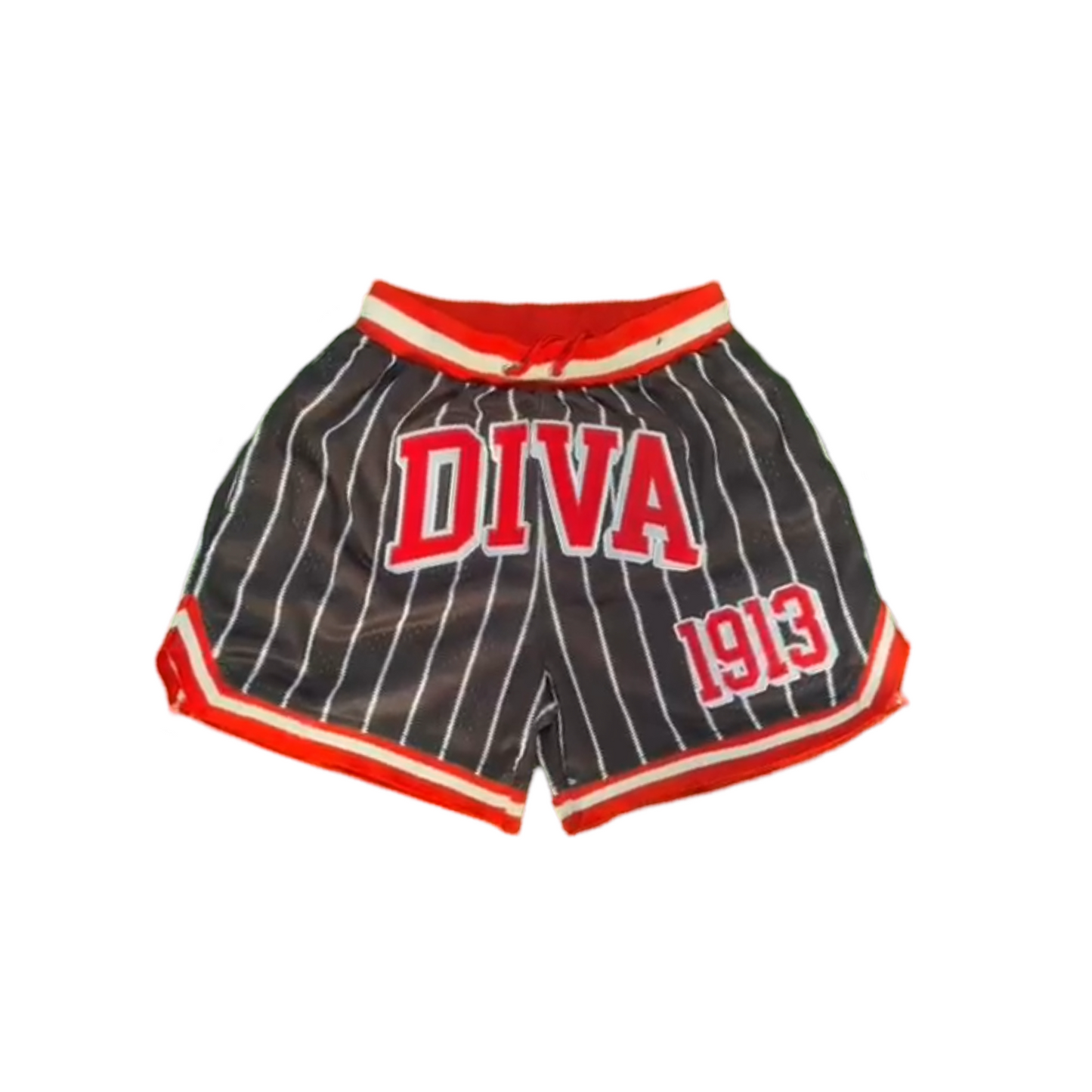 Diva 1913 Pin Striped Embroidered Mesh Shorts