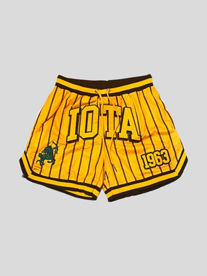 Iota Phi Theta Gold Pin Stripe Embroidered Basketball Shorts