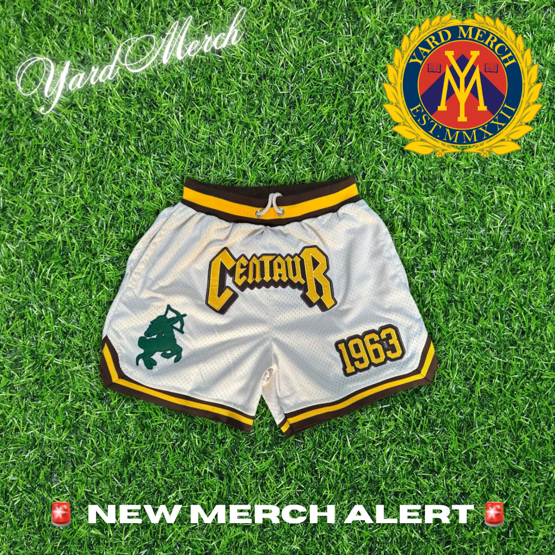 Iota Phi Theta Centaur Embroidered Mesh Shorts