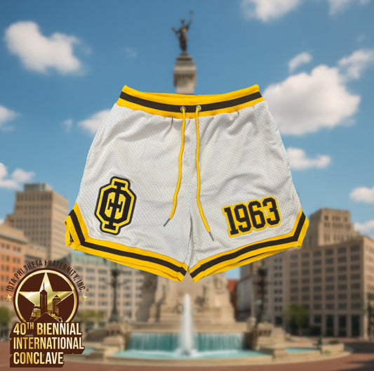 Iota Phi Theta Embroidered Basketball Shorts