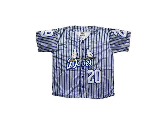 Zeta Phi Beta Doves Baseball Jersey