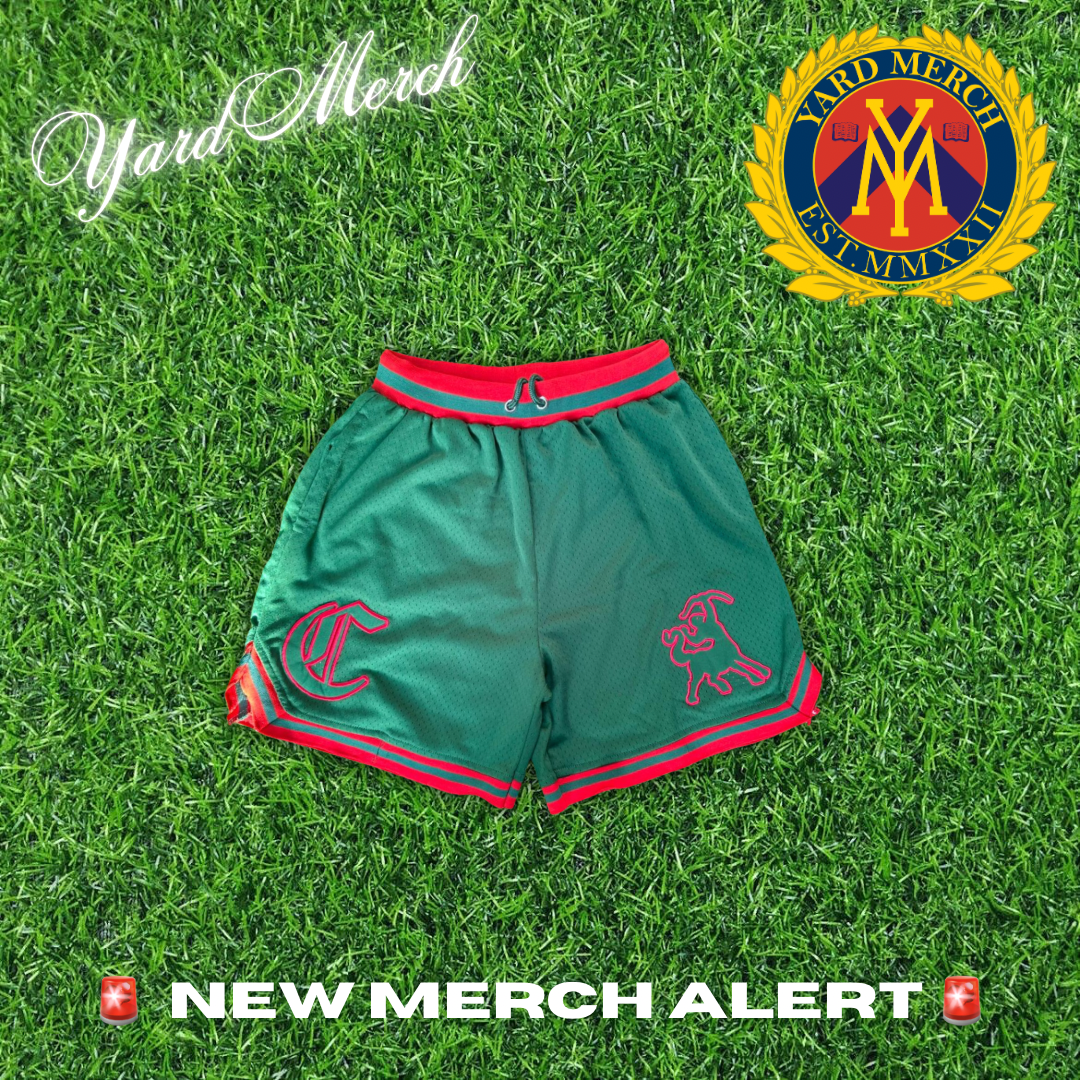 Iota Phi Theta Centaur Embroidered Mesh Shorts