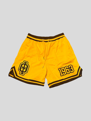 Iota Phi Theta Gold Basketball Shorts