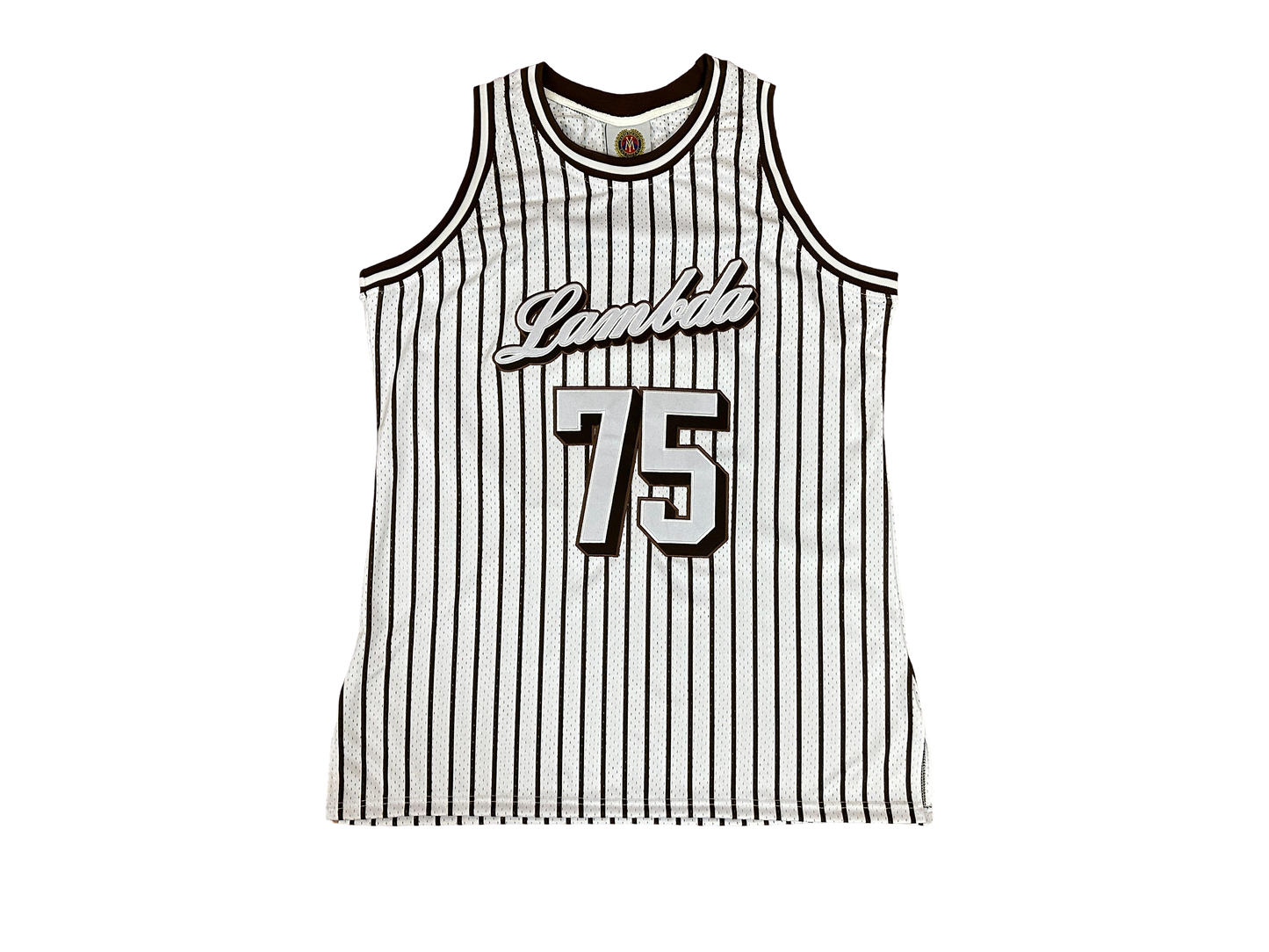 Lambda Theta Phi Pin Stripped Jersey