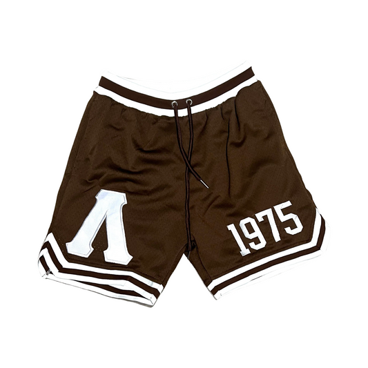 Lambda Theta Phi Shorts